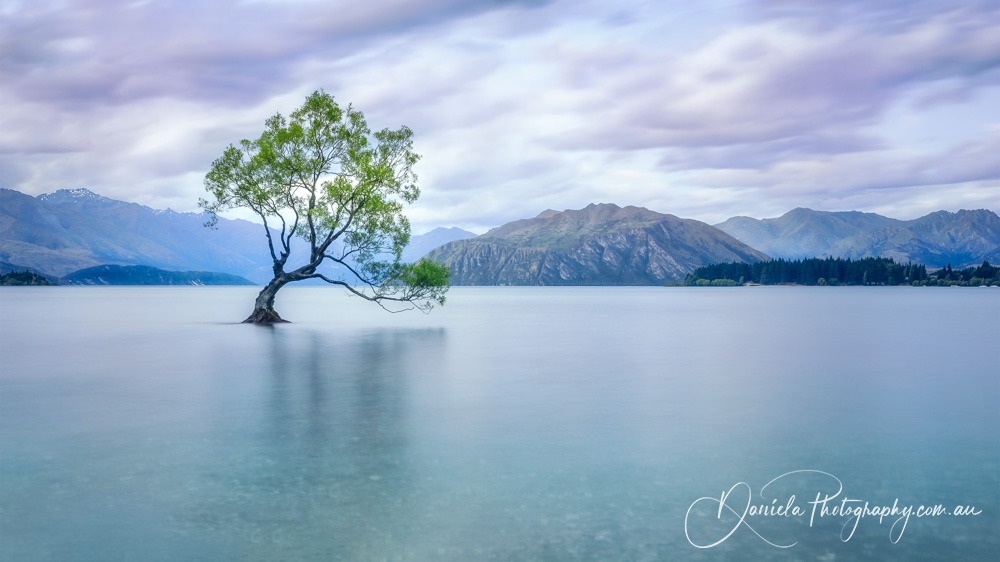 Story of Beauty and Survival at Lake Wanaka